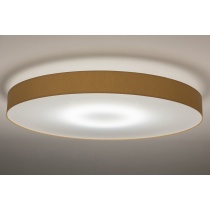 THIN CYLINDER CEILING ø800mm